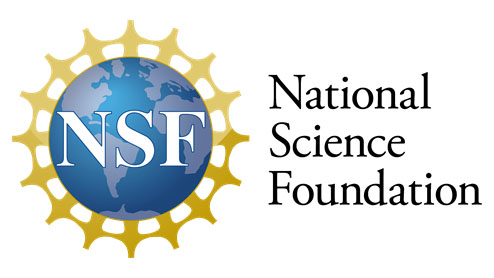 NSF DMR Polymers grant awarded!