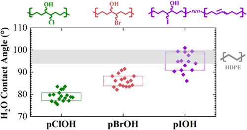 New paper about polyhalohydrins